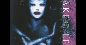 Jake E Lee A Fine Pink Mist Full Album 1996