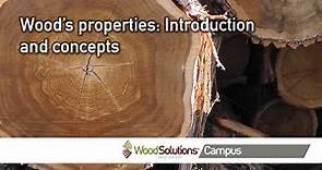 Wood’s properties: Introduction and concepts
