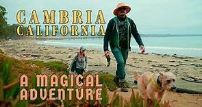 Cambria Travel Guide | California by CALIWAG