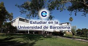 Universidad de Barcelona - Supera la EBAU UNED con éxito y cumple tu sueño de estudiar en España.