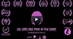 La nuit, tous les chats sont roses | All cats are pink in the dark (VOST)