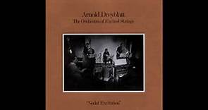 Arnold Dreyblatt & The Orchestra of Excited String - Nodal Excitation