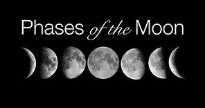 Phases and Motions of the Moon