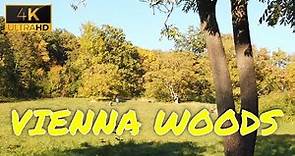 Relaxing Walk in Neuwaldegg [The Vienna Woods] - Just 30 Minutes Away from Vienna Center