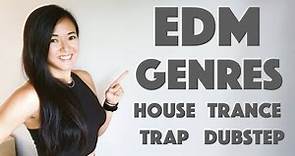 What is EDM, Electronic Music? What are EDM Genres: House, Trance, Trap, Dubstep?