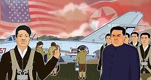 North Korean Pilot's Daring Defection