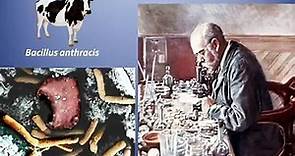 Robert Koch - Anthrax, Tuberculosis, and Cholera