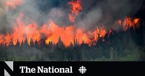 Wild theories about what's fuelling Canada’s wildfires