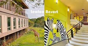 全台唯一「動物園飯店」！六福莊推出住宿優惠，房間內看長頸鹿，最低每人不到千元！