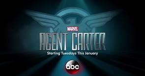 Agent Carter (TV Series 2015–2016)