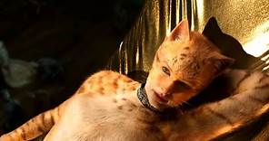 Is Taylor Swift’s ‘Cats’ the Worst Movie of the Year?