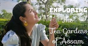 Exploring the world famous tea gardens of Assam | Assam tourism | North East India | MANDY MISRA