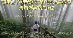 阿里山 頂石棹步道群 雲之道步道 禾自然民宿Part2Alishan Dingshizhao Trail Group, "Cloud" Trail, " Go Nature" B&B part 2