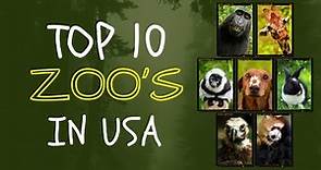 Top 10 Best Zoos to Visit in USA