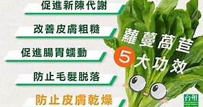 台塑蔬菜 - #有機蘿蔓A菜 盛產中💖 蘿蔓A菜是屬於萵苣家族的蔬菜 在它的營樣成分當中 葉酸是相對突出的👍...