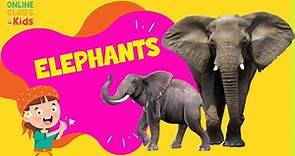 Elephants 101 | Elephants for Children | Elephants of Africa and Asia | Science Lessons for Kids