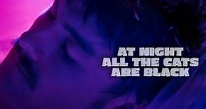 At Night All The Cats Are Black - Official Trailer | Dekkoo.com | Stream great gay movies