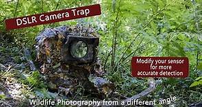 DSLR Camera trap - Modify your sensor for greater accuracy