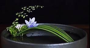 插花藝術--固定和造型花枝，簡單，易學--Flower Arrangement Ideas- ikebana #chahua #Flower Arrangement