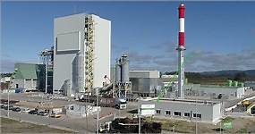 La planta de biomasa de Curtis-Teixeiro en Galicia comienza a funcionar tras una inversión de 135 millones de euros