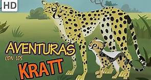 🐆 Aventuras con los Kratt - Conoce a un Guepardo!