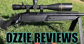 Steyr "Tactical Elite" .308Win Rifle (with long range shooting to 1000 yards)