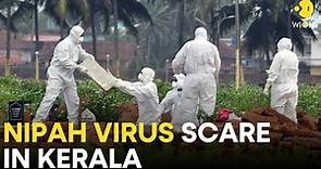 Nipah Virus Kerala LIVE: Indian state of Kerala on high alert to control Nipah outbreak | WION LIVE