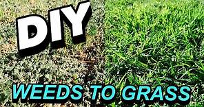 HOW TO TURN WEEDS INTO GRASS