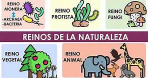 Los reinos de la naturaleza (Características y ejemplos)