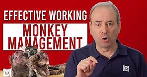 What is Monkey Management? How to Deal with a Monkey on Your Back