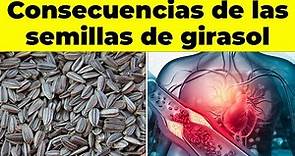 REVELADO! Consecuencias de comer semillas de girasol crudas en tu cuerpo