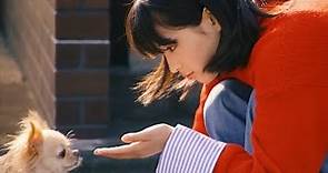 【日本CM】廣瀨鈴用照片製作年賀狀竟然是靠把手機綁在小狗身上？