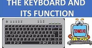 KEYBOARD AND ITS FUNCTION || FUNCTIONS OF THE KEYBOARD || BASIC COMPUTER || COMPUTER FUNDAMENTALS