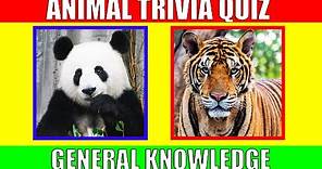 ANIMAL TRIVIA QUIZ for Kids | Animal General Knowledge Quiz Game for Preschoolers and Kindergarten