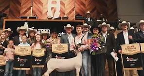 Best of the 2023 Houston Livestock Show and Rodeo