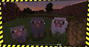 Minecraft - How to Breed Sheep