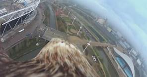 Awesome Action Cam footage shows eagle flying over city of London