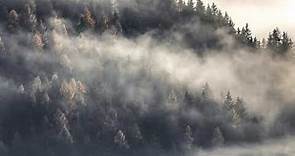 ¿Por qué se forma la niebla?