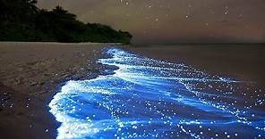 Sea of Stars - Vaadhoo Island, Maldives