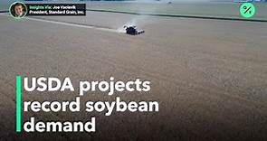 Soybean prices climb on high demand
