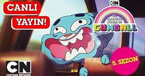 🔴CANLI 🔴 GUMBALL | 5. Sezon Tüm Bölümler | Cartoon Network Türkiye