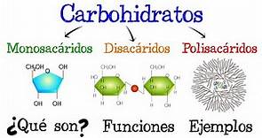 🍞 Carbohidratos 💥 ¿Qué son? 🥔 Funciones 🍟 EJEMPLOS 🥞 [Fácil y Rápido] | BIOLOGÍA |