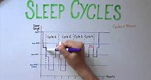 Sleep 5: Types of Sleep and Sleep Cycles