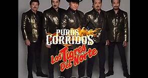 1 Hora De Puros Corridos De Los Tigres Del Norte