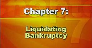 Bankruptcy Basics - Part 2: Types of Bankruptcy