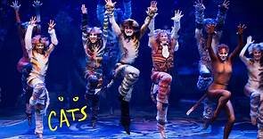 Cats - The Musical