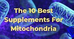 10 Best Supplements For Mitochondrial Support