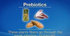 Prebiotics vs. Probiotics: What are the differences?