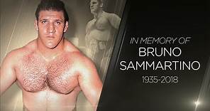 WWE pays tribute to Bruno Sammartino