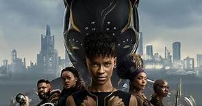 Watch Black Panther: Wakanda Forever (2022) full HD Free - Movie4k to